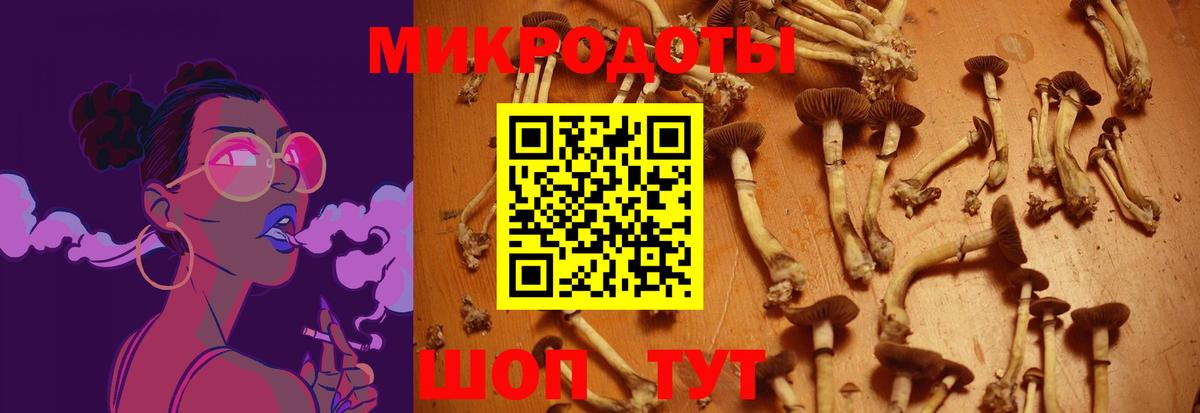 Галлюциногенные грибы Magic Shrooms Краснокаменск